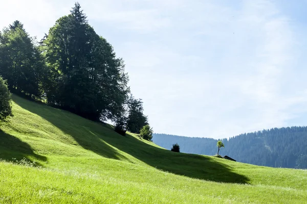 Estate Paesaggio Montano Soleggiato Giorno Successivo Austria Alpi — Foto Stock