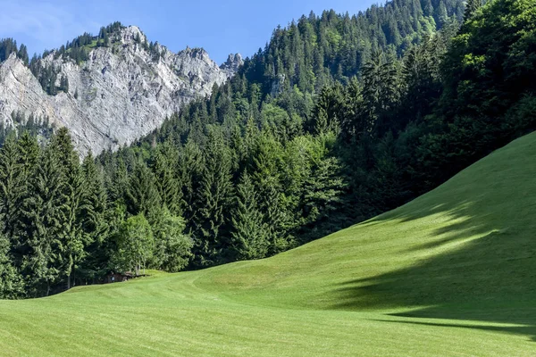 Verão Paisagem Montanhosa Ensolarada Néon Áustria Alpes — Fotografia de Stock