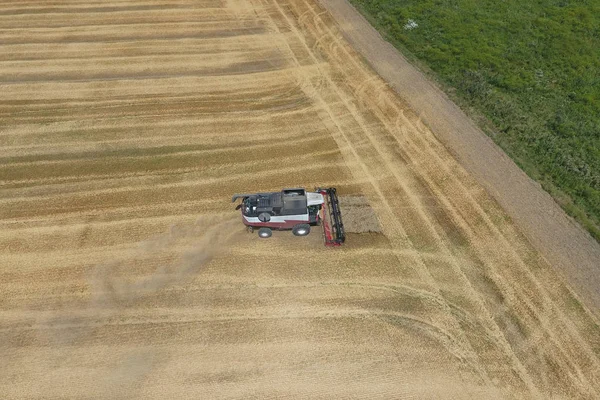 Het Oogsten Van Tarwe Maaimachine Landbouwmachines Operatie — Stockfoto