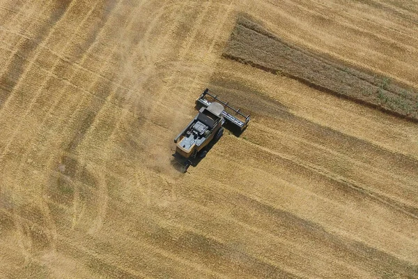 Sklizeň Pšenice Kombajn Zemědělské Stroje Provozu — Stock fotografie