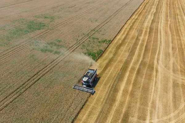 Harvesting Wheat Harvester Agricultural Machinery Operation — Stock Photo, Image