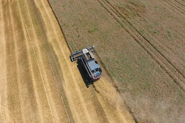 Het Oogsten Van Tarwe Maaimachine Landbouwmachines Operatie — Stockfoto