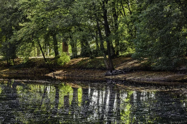 Die Ersten Herbstblätter Fallen Und Führen Einer Schönen Reflexion Der — Stockfoto