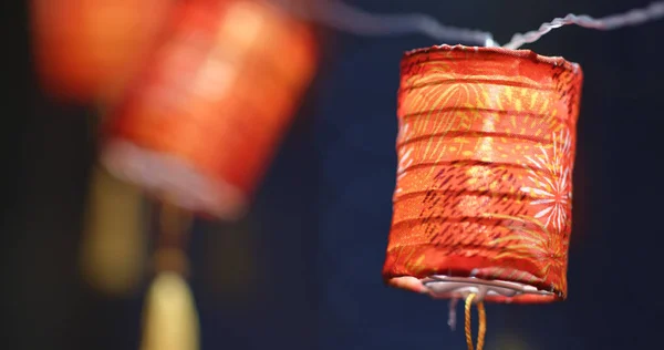 홍당무 신년을 제비갈매기 — 스톡 사진
