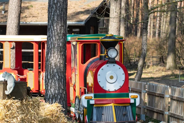 儿童铁路 一辆供小孩子使用的红色蒸汽机车穿过树林里的一个休闲公园 铁路旅行和旅游 电动复古铁路列车 — 图库照片