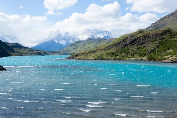 Het Landschap Van Het Nationaal Park Torres Del Paine Chili — Stockfoto