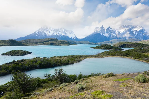 Chilijski Krajobraz Patagonii Park Narodowy Torres Del Paine Chile — Zdjęcie stockowe