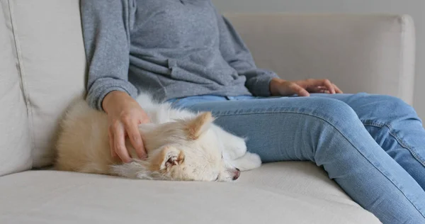 Mujer Abrazar Perro Casa —  Fotos de Stock