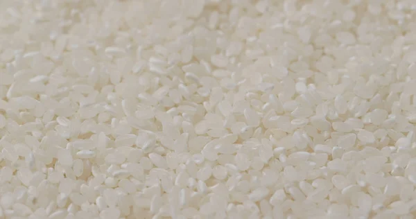 쌀알이 — 스톡 사진