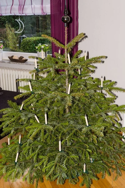 Mooie Versierde Kerstboom Met Licht — Stockfoto