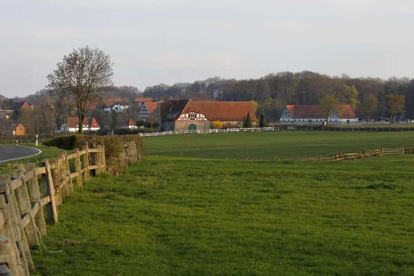 Das Gestüt Altefeld Hessen — Stockfoto