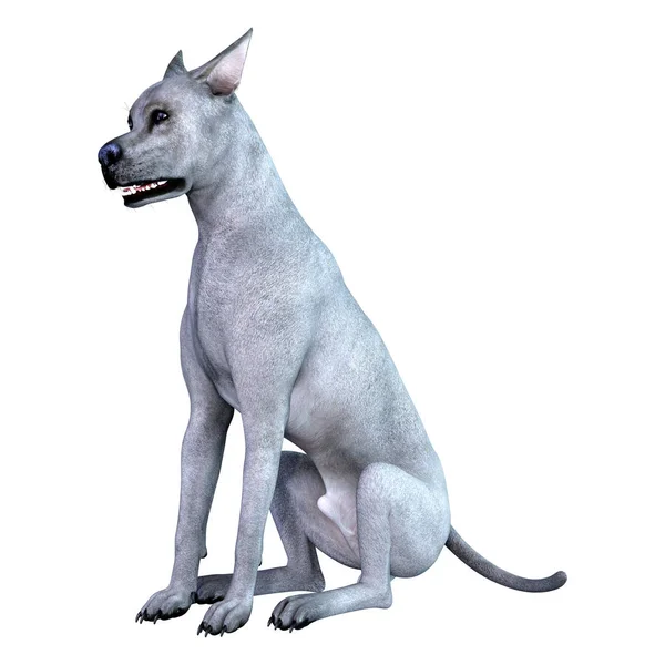 Τρισδιάστατη Απεικόνιση Του Ένα Μπλε Δανέζικος Σκύλος Απομονώνονται Λευκό Φόντο — Φωτογραφία Αρχείου