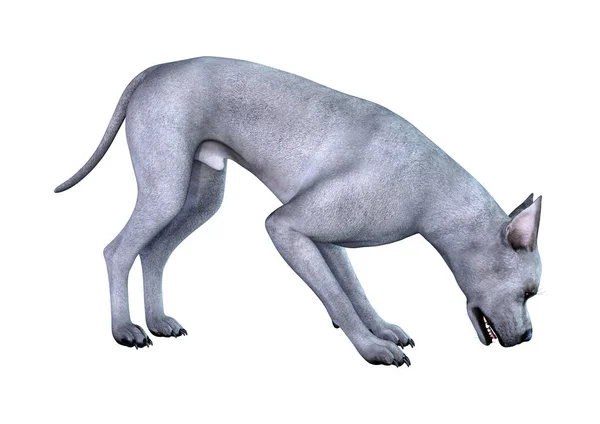 Beyaz Arka Plan Üzerinde Izole Mavi Bir Danua Köpek Render — Stok fotoğraf