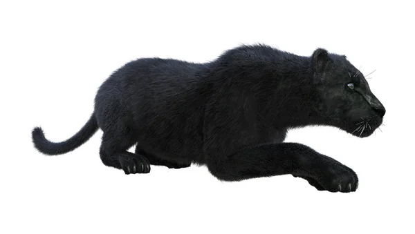 Darstellung Eines Schwarzen Panthers Isoliert Auf Weißem Hintergrund — Stockfoto