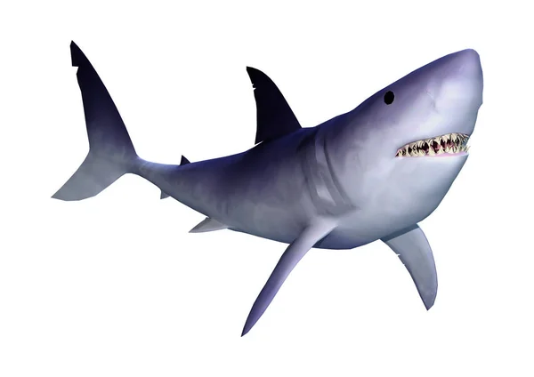 Darstellung Eines Hais Isoliert Auf Weißem Hintergrund — Stockfoto