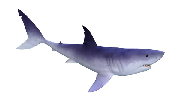 Representación Tiburón Aislado Sobre Fondo Blanco — Foto de Stock