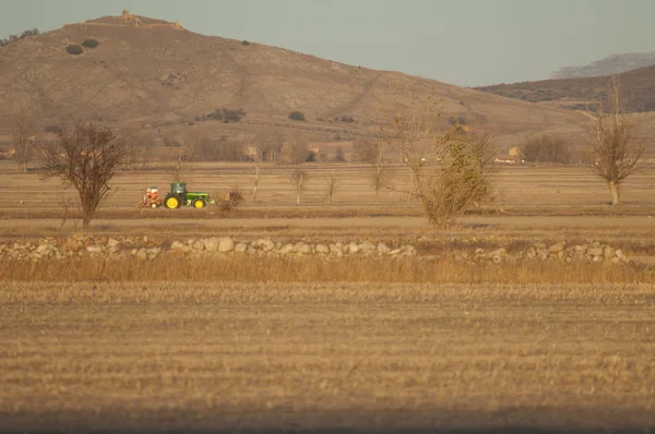 Tractor Gallocanta Lagoon Natural Reserve Aragon Spain — Stock Photo, Image