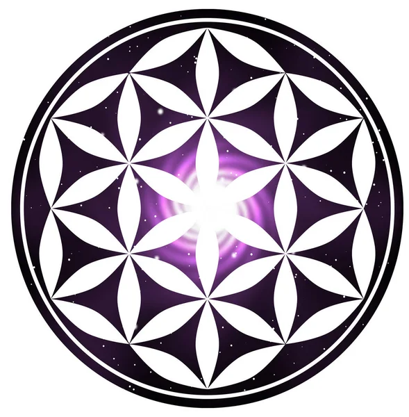 Mandala Művészet Illusztráció Spirituális Szimmetrikus — Stock Fotó