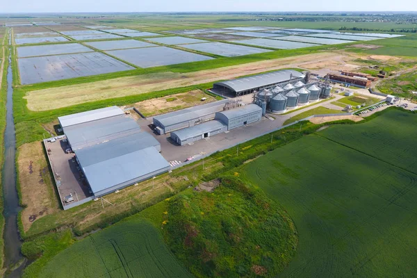 Graan Terminal Plant Voor Het Drogen Opslag Van Graan Rijst — Stockfoto