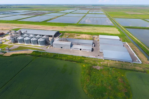 Graan Terminal Plant Voor Het Drogen Opslag Van Graan Rijst — Stockfoto