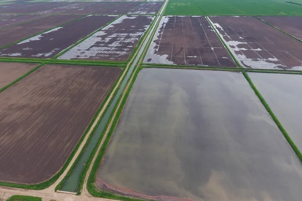 湛水の田んぼ フィールドで稲作の農業方法は 播種米水とフィールドの洪水 上からの眺め — ストック写真