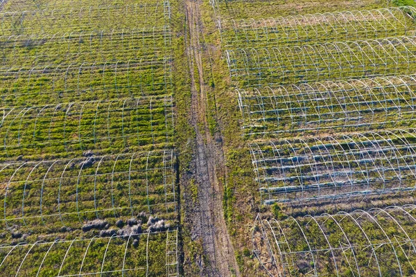 Marcos Invernaderos Vista Superior Construcción Invernaderos Campo Agricultura Agrotecnia Terreno —  Fotos de Stock