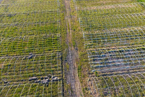 トップ ビューの温室のフレームワーク フィールドにおける温室の建設 閉じた地面の Agrotechnics — ストック写真