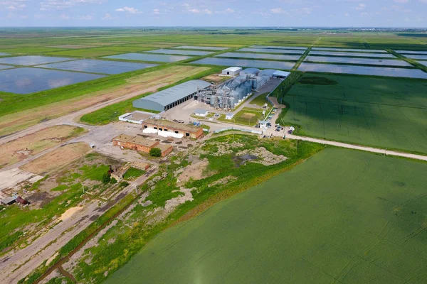 Graan Terminal Plant Voor Het Drogen Opslag Van Graan Rijst — Stockfoto