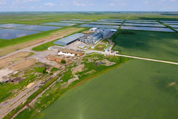 Graan Terminal Plant Voor Het Drogen Opslag Van Graan Rijst — Stockfoto