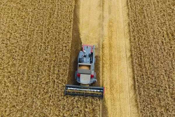 Krasnodar Russland Juli 2017 Weizenernte Landmaschinen Ernten Getreide Auf Dem — Stockfoto