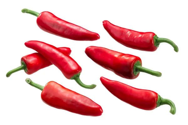 Gorria Pimentos Género Espelette Frutos Género Capsicum Annuum Vagens Inteiras — Fotografia de Stock