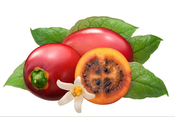 Tamarillo Solanum Betaceum Frutas Com Folhas — Fotografia de Stock