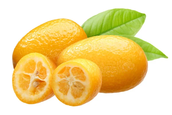 Ομάδα Τριών Κουμκουάτ Citrus Japonica Fruits Φύλλα — Φωτογραφία Αρχείου