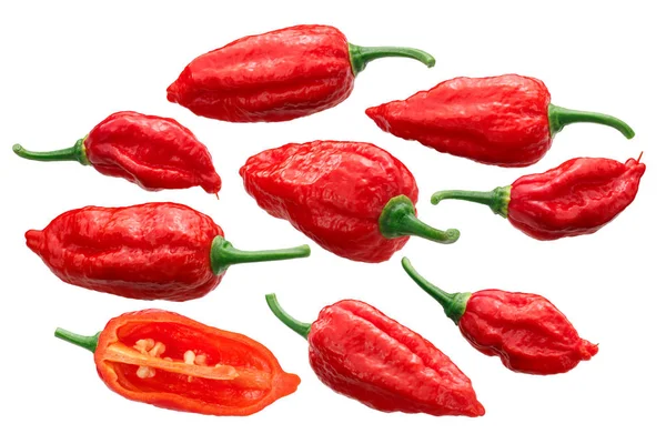 Dorset Naga Naga Morich Peppers Capsicum Chinense Frutescens 반으로 꼬투리 — 스톡 사진