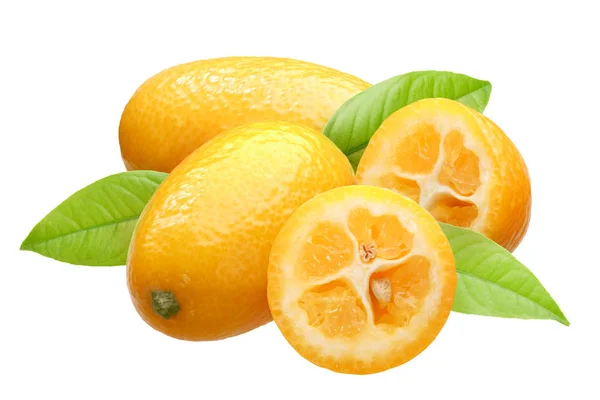 Ομάδα Τεσσάρων Κουμκουάτ Citrus Japonica Fruits Φύλλα — Φωτογραφία Αρχείου