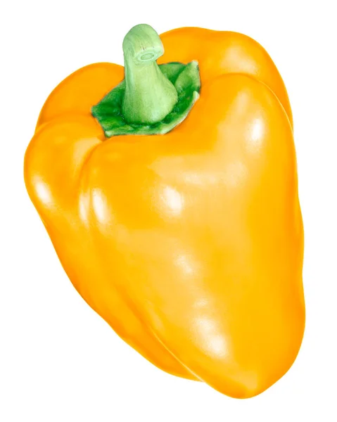 Poivron Orange Capsicum Annuum Gousse Entière Vue Dessus — Photo