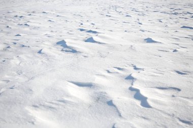 closed snow cover in wind, with drifts,looks like dunes clipart