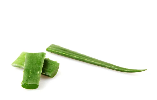 Aloe Vera Latar Belakang Putih — Stok Foto