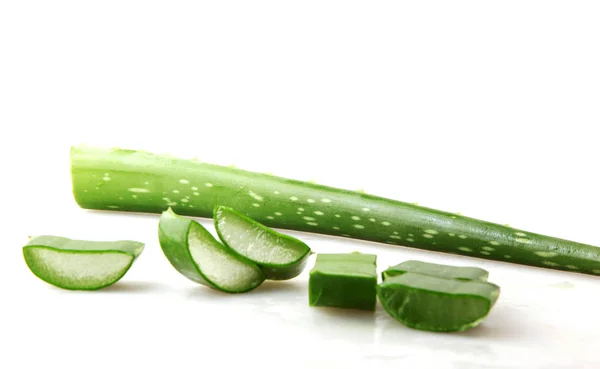 Aloe Vera Latar Belakang Putih — Stok Foto