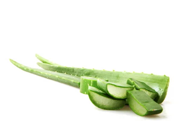 Aloe Vera White Background — Stock Photo, Image