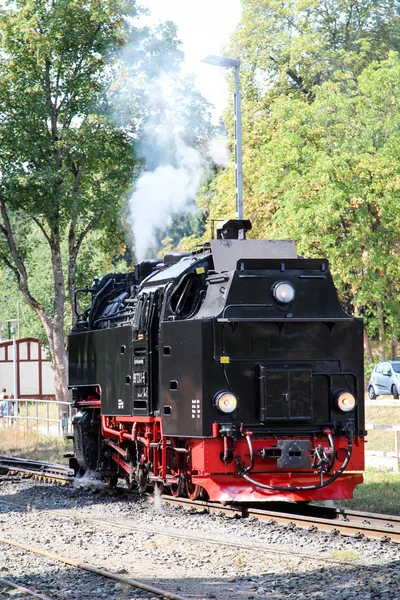 Eine Alte Schmalspurdampflokomotive — Stockfoto