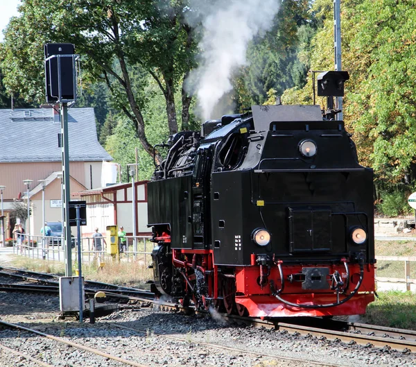 Una Vieja Locomotora Vapor Vía Estrecha —  Fotos de Stock