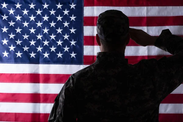 Rückansicht Eines Soldaten Der Uns Flagge Zeigt — Stockfoto