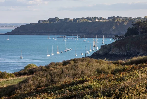 Pointe Grouin Cancale Smaragdové Pobřeží Bretaň Francie — Stock fotografie