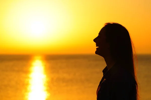 Retrato Vista Lateral Una Silueta Niña Feliz Contemplando Sol Atardecer —  Fotos de Stock