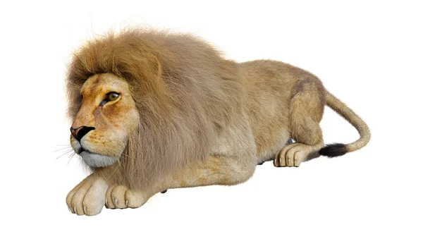 Rendering Male Lion Isolated White Background — Stock Photo, Image