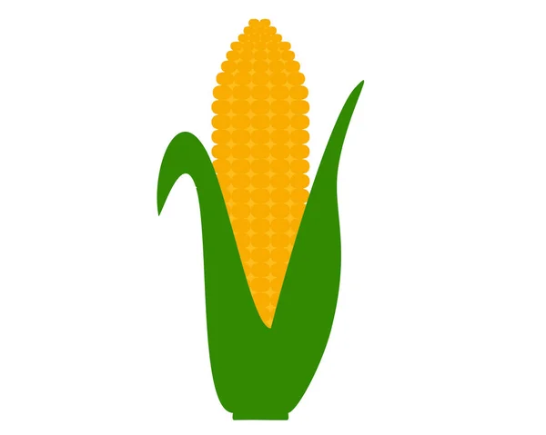 Kukuřičný Klacek Zelenými Listy — Stock fotografie