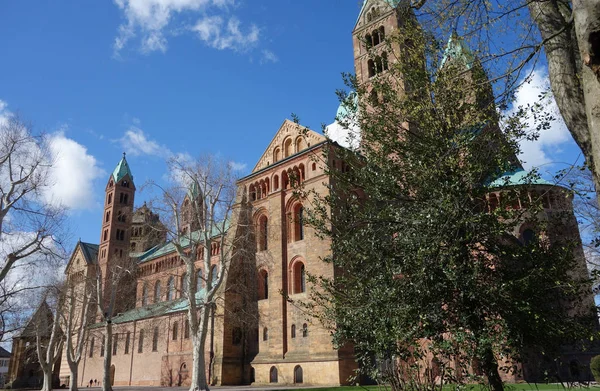 Catedral Speyer Río Rin — Foto de Stock