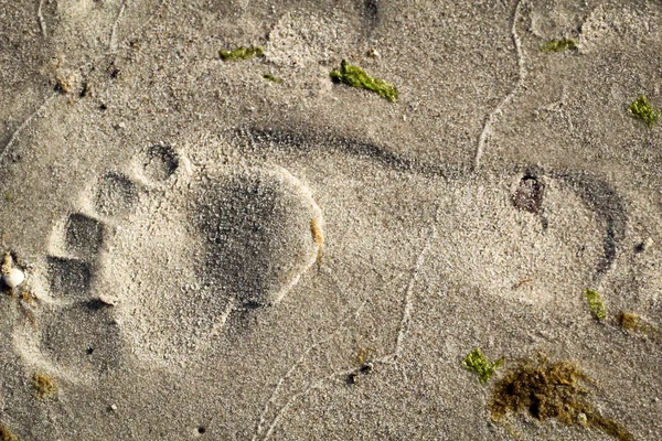 Una Huella Arena Húmeda Del Mar Báltico — Foto de Stock