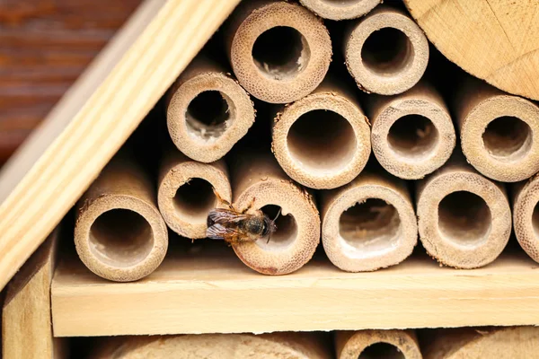 an insect hotel for bees wasps and other insects